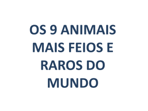 Animais Raros - Teia Portuguesa