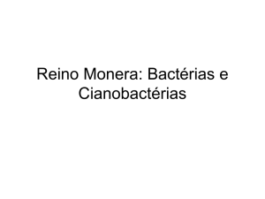 Reino Monera: Bactérias e Cianobactérias
