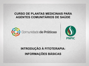 introducao-fitoterapia-informacoes-basicas