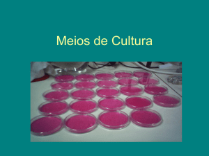 Meios_de_Cultura_aula_3.1[1]