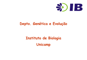 Slide 1 - lge (unicamp)