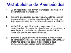 aula metabolismo de aminoácidos