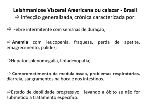4 Leishmania visceral americana
