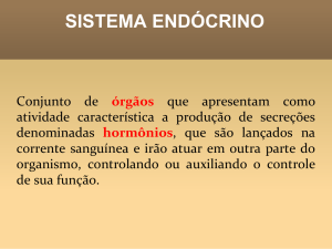 Órgãos do sistema endócrino