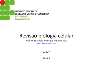 Slide 1 - Professor Fabio Henrique Silva