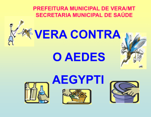 slide - Prefeitura Municipal de Vera