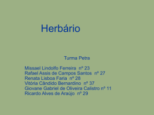 herbario oficial (2)