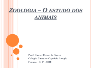 Zoologia – O estudo dos animais