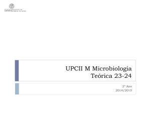 aula teórica 23 -Comunicação entre bactérias e com o hospedeiro