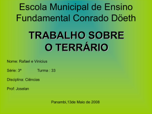Slide 1 - Prefeitura Municipal de Panambi