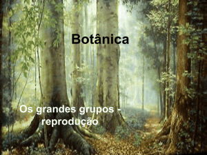aula botanica – compactado