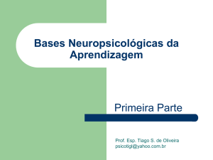 Neuroanatomia e Neurofisiologia