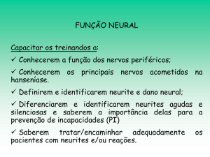 Função Neural
