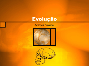 Evolução II