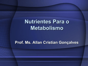 Nutrientes Para o Metabolismo