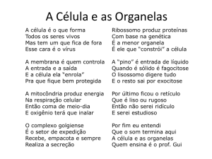 A Célula e as Organelas