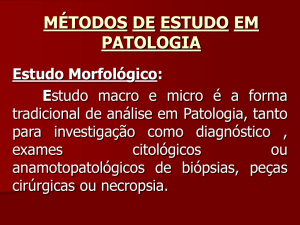 métodos de estudo em patologia