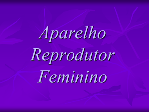 Aparelho Reprodutor Feminino Constituição