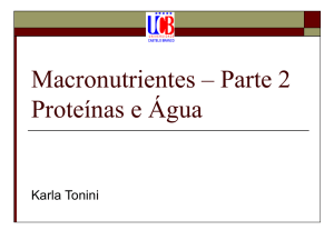 Macronutrientes – Parte 2 Proteínas e Água