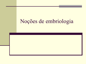 Noções de embriologia