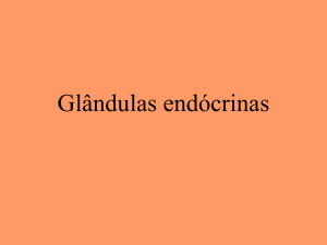 Glândulas endócrinas