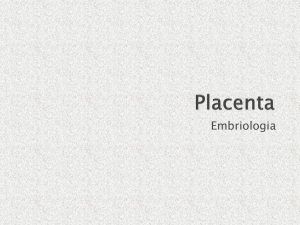 Placenta- Mola Hidatiforme
