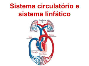 Sistema circulatório