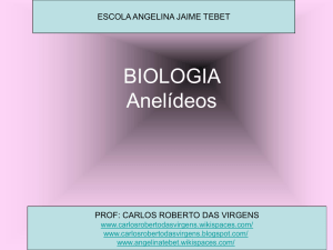 ANELIDEOS - carlosrobertodasvirgens