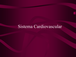 Sistema Cardiovascular