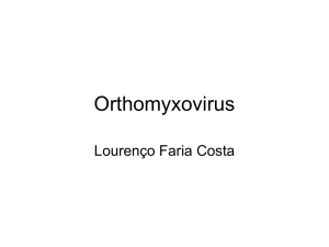 Orthomyxovirus