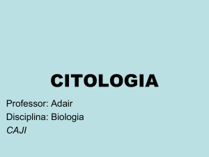 citologia - Blog dos Professores