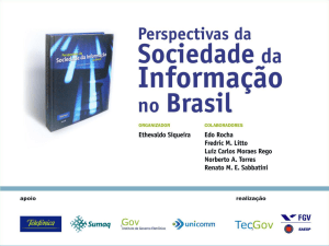Perspectivas da Sociedade da Informação no Brasil