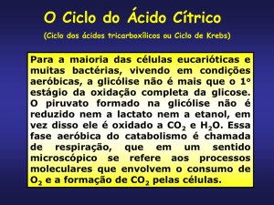 bioquimica_ciclo_do_acido_citrico