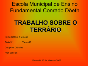 Slide 1 - Prefeitura Municipal de Panambi