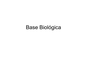Base Biológica - DC