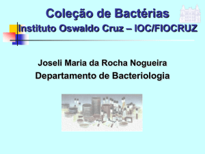 Coleção de Bactérias do Instituto Oswaldo Cruz