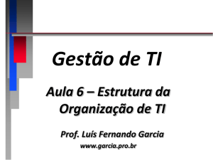 Estrutura da Organização de TI - Prof. Dr. Luis Fernando Garcia