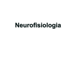 Introdução à Neurofisiologia