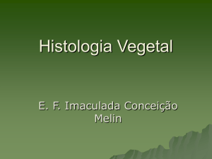 Histologia Vegetal - Escola Franciscana Imaculada Conceição