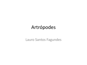 Artrópodes - Grupos.com.br