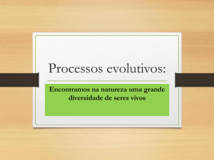Processos evolutivos