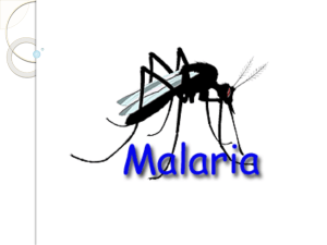 Malária - Nova Fapi