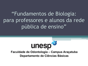 Slide 1 - Diretoria de Ensino Araçatuba