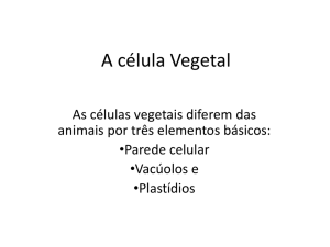 A célula Vegetal - Espaço de Carlos Dionata