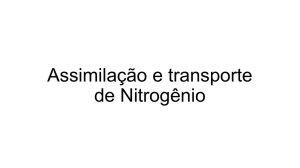 Assimilação e transporte de Nitrogênio