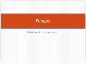 Fungos