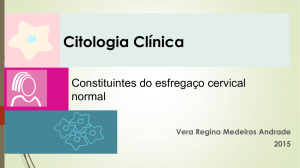 2 CITO CLINICA 2015 Constituintes esfregaço normal VRMA