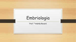 Embriologia – Andréa