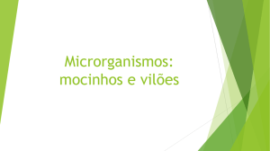 Microrganismos: mocinhos e vilões