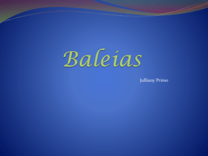 Baleias - WordPress.com